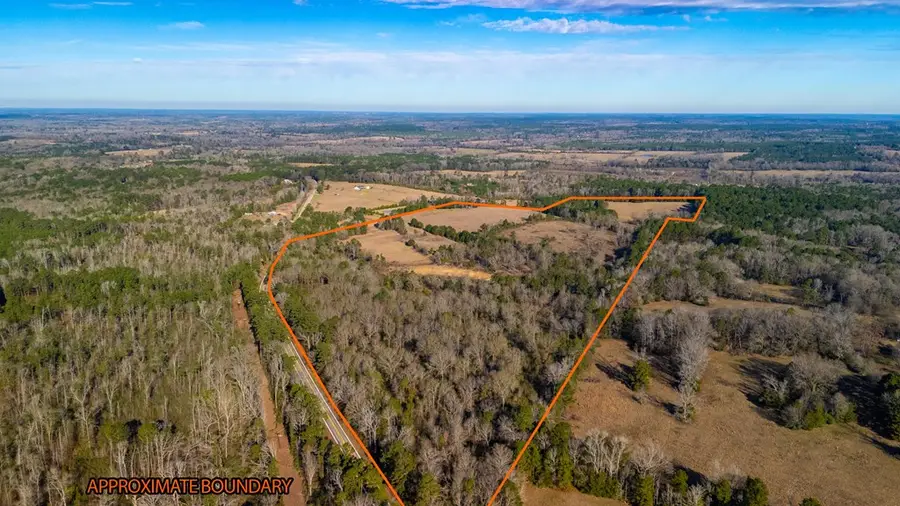 000 Fm 95, Mount Enterprise, TX 75681 - #3