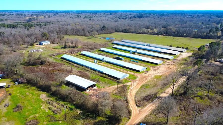 2550 Cr 4293, Center, TX 75935 - #2