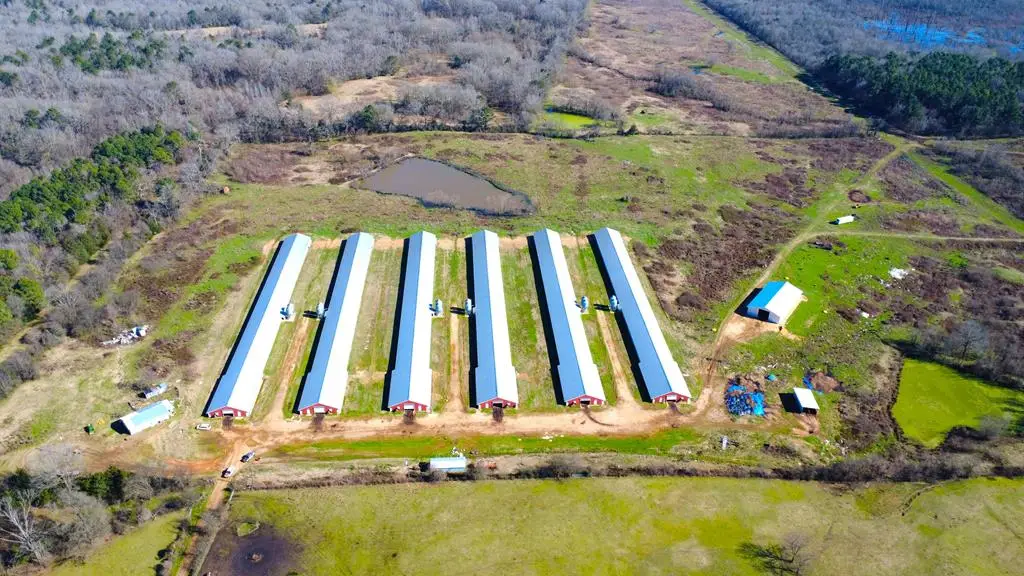 TBD Cr 3085, Center, TX 75935 - #1