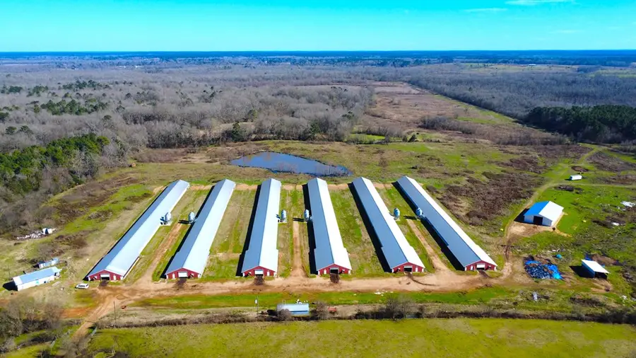 TBD Cr 3085, Center, TX 75935 - #3