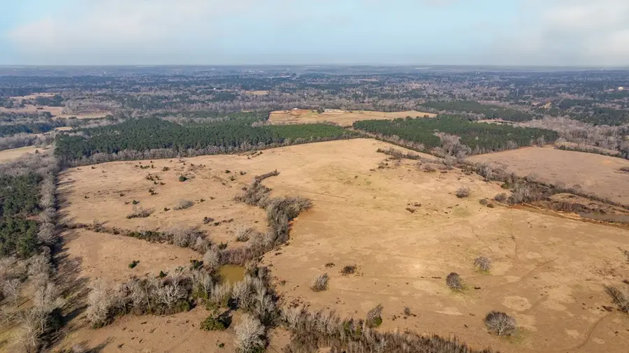 50.0 ac Cr 228, Nacogdoches, TX 75961 - #2