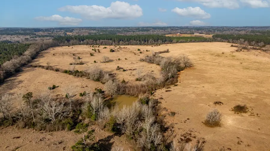 50.0 ac Cr 228, Nacogdoches, TX 75961 - #3