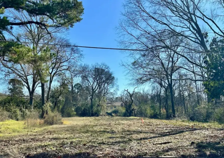 117 Thomas St, Center, TX 75935 - #2