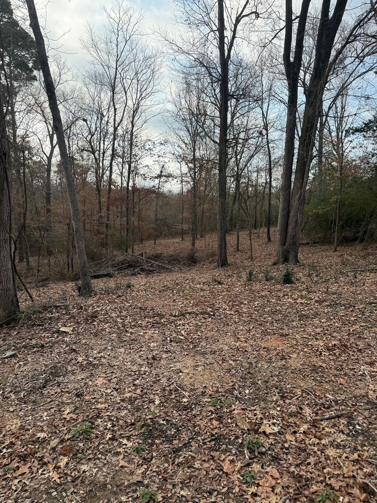 916 Cr 2650, Shelbyville, TX 75973 - #3