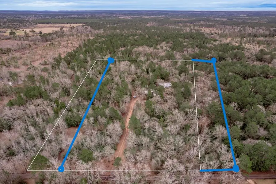 771 Cr 783, Douglass, TX 75943 - #3