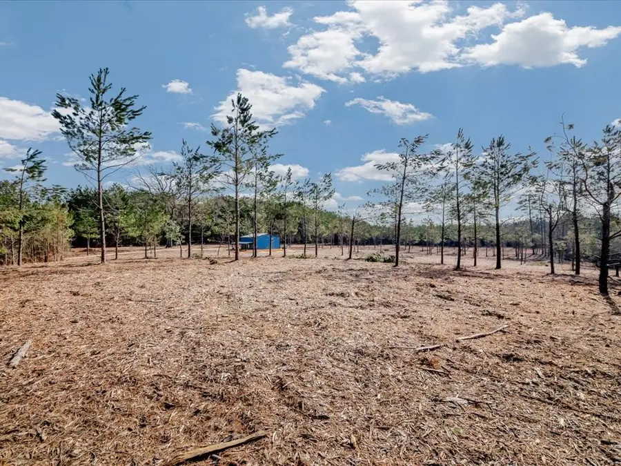 2119 Cr 3273, Mount Enterprise, TX 75681 - #2