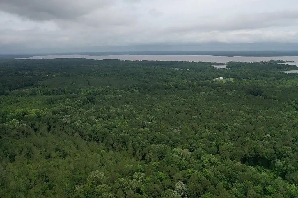 TBA Youngblood Road, Huntington, TX 75949 - #1