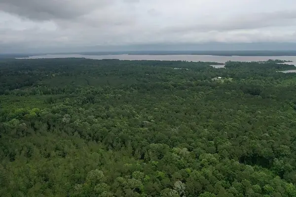 TBA Youngblood Road, Huntington, TX 75949