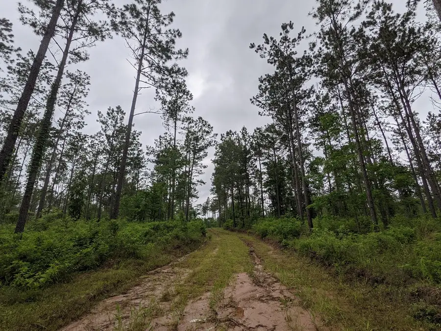 TBA Youngblood Road, Huntington, TX 75949 - #3