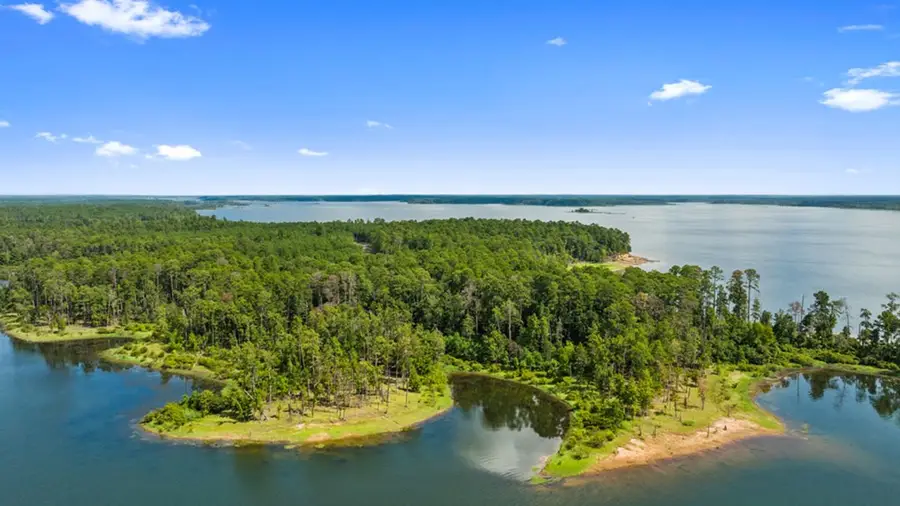 R75929 Fm 705, Broaddus, TX 75925 - #3