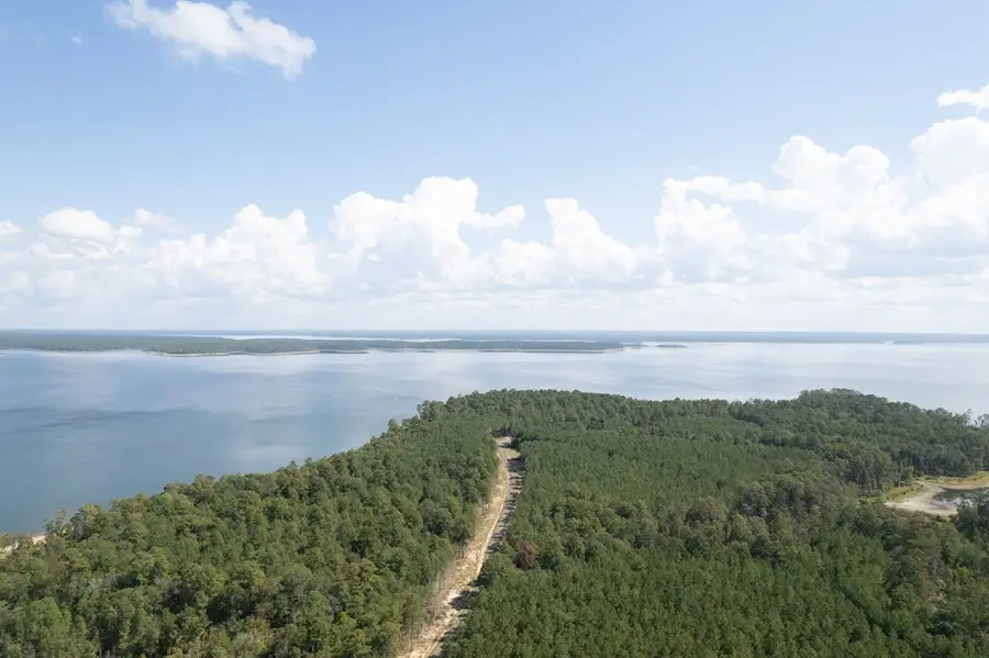 R12357 Lot 46 Fm 705, Broaddus, TX 75929 - #3