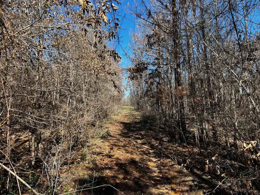 R63280 Pine Groves Road, Corrigan, TX 75939 - #1