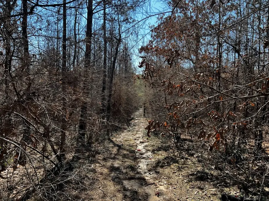 R63280 Pine Groves Road, Corrigan, TX 75939 - #3