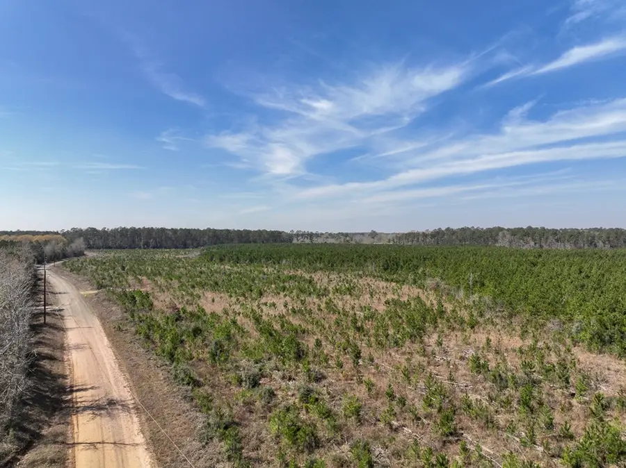 49 Ac County Road 4415, Spurger, TX 77660 - #3