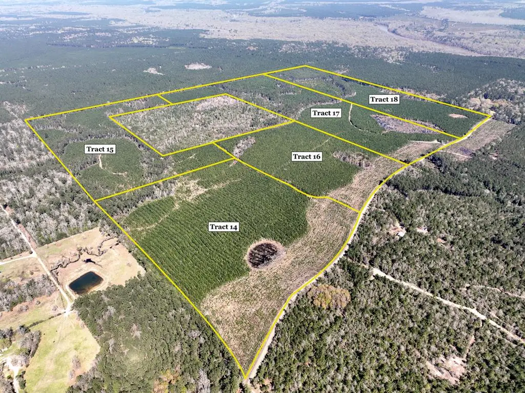 59 Ac County Road 4415, Spurger, TX 77660 - #1