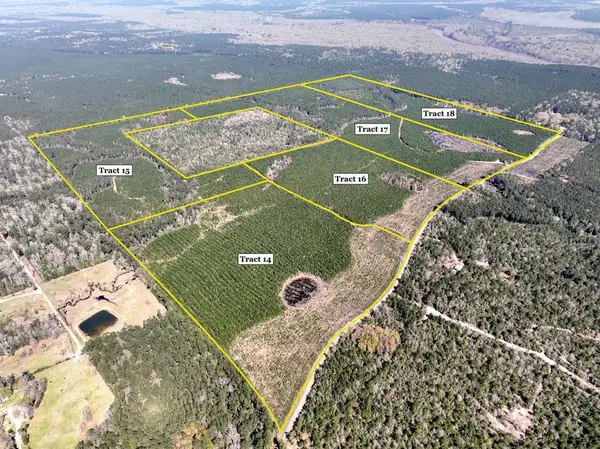 59 Ac County Road 4415, Spurger, TX 77660