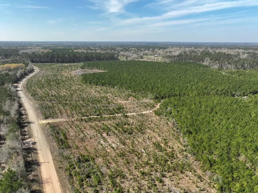 59 Ac County Road 4415, Spurger, TX 77660 - #2