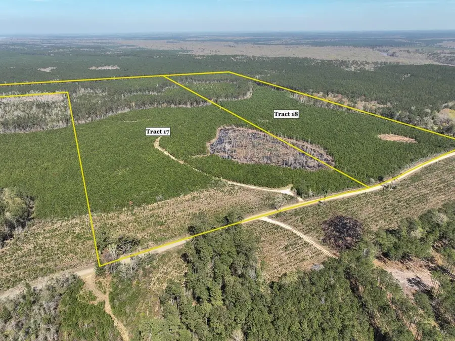 40 Ac County Road 4415, Spurger, TX 77660 - #2