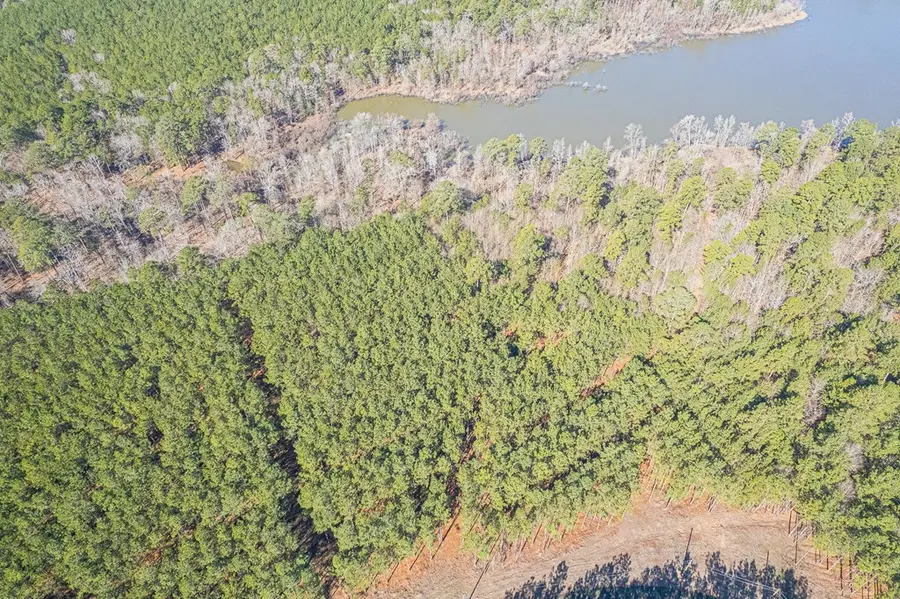 28125 Lot 100 Fm 705, Broaddus, TX 75972 - #3