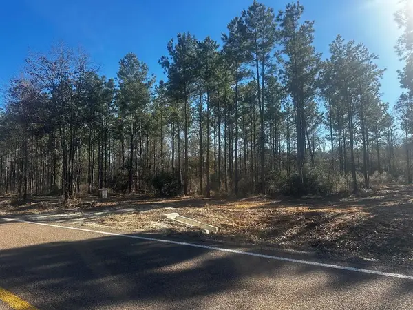 A0425 Fm 358, Groveton, TX 75845