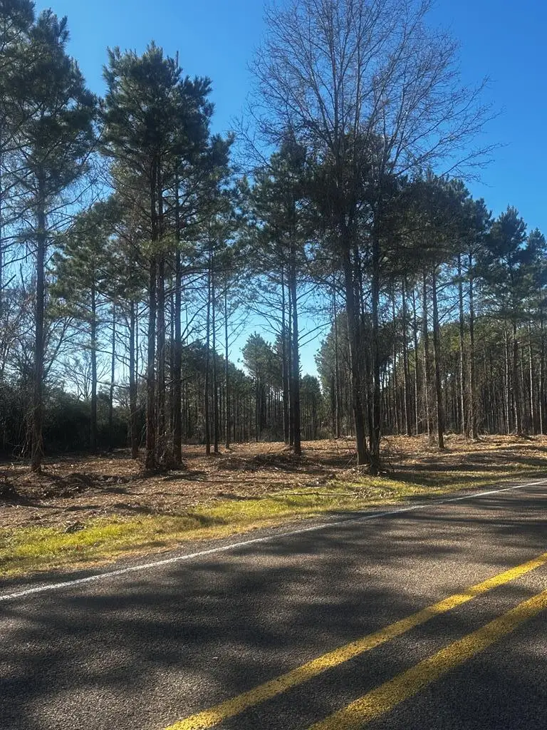 A0425 Fm 358, Groveton, TX 75845 - #3