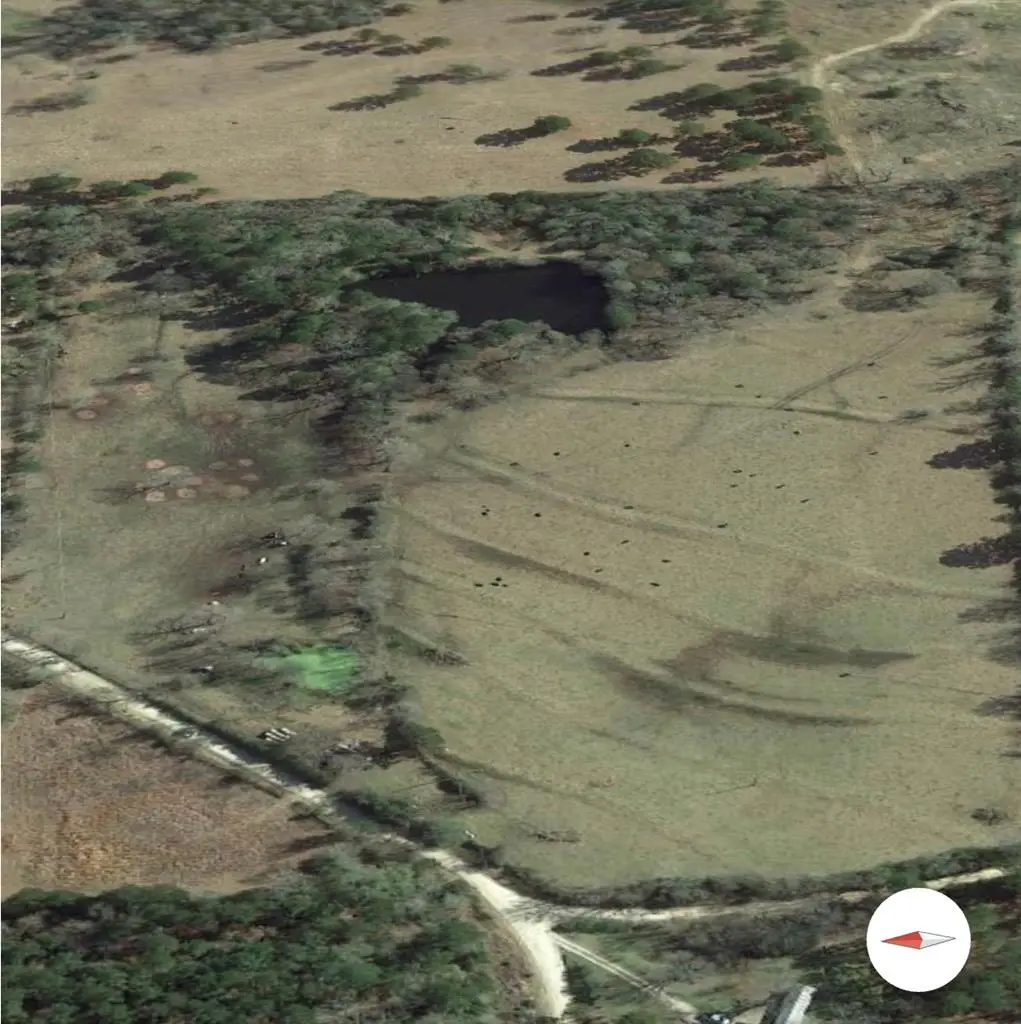 480 Willis Road, Apple Springs, TX 75926 - #1