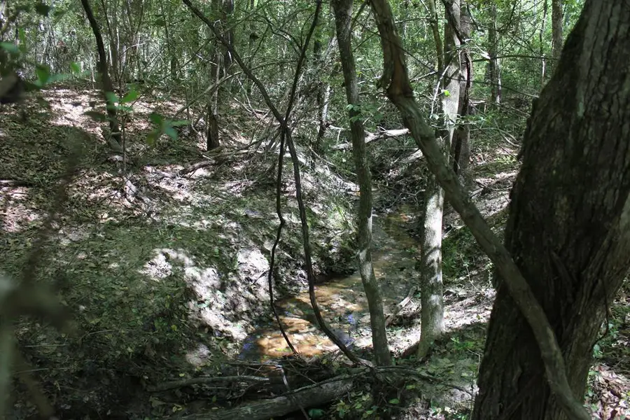 PID 36982 Hwy 103w, Lufkin, TX 75904 - #2