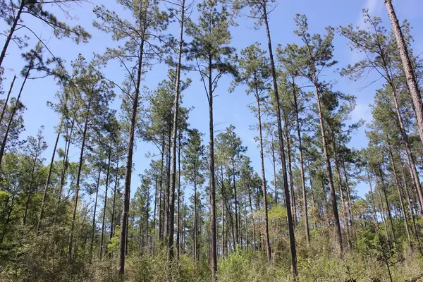 PID 36982 Hwy 103w, Lufkin, TX 75904