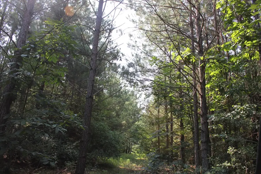 PID 36982 Ben Dunn Road, Lufkin, TX 75901 - #3