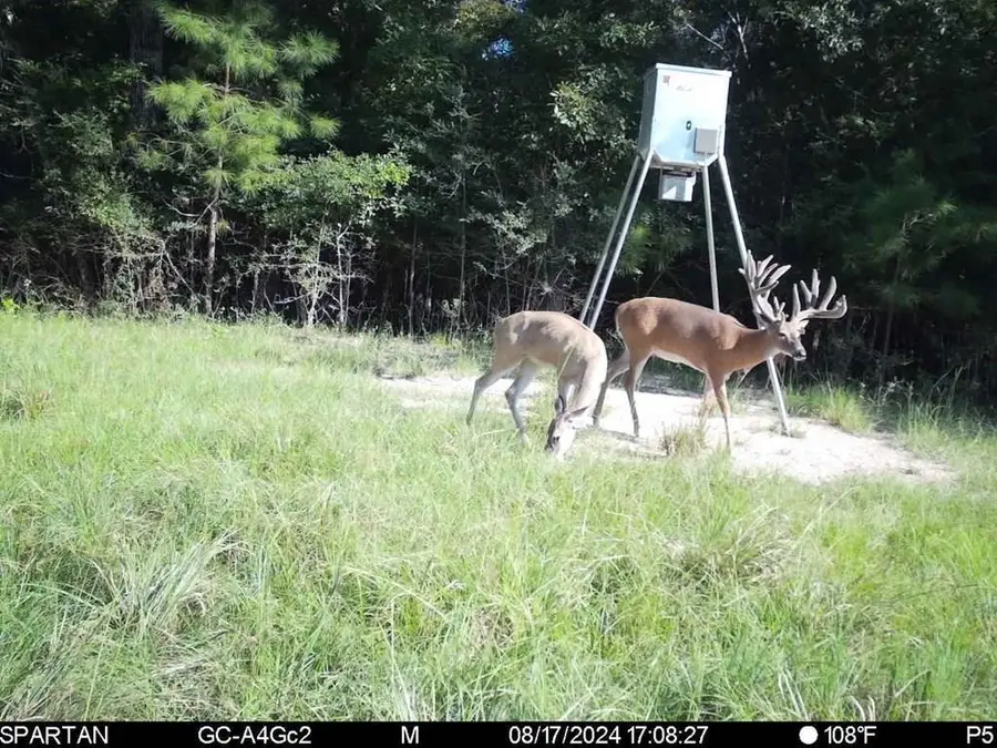 6483 Fm 844, Huntington, TX 75949 - #3