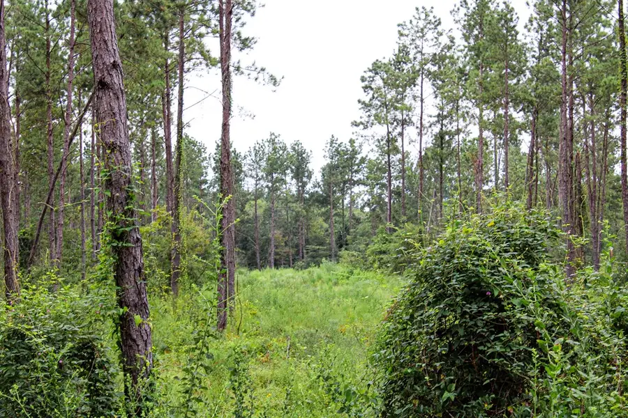 PID 29607 Ben Dunn Road, Hudson, TX 75904 - #3