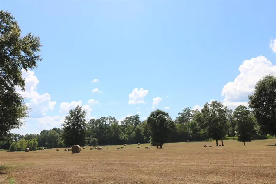 AB 2 John Bevil Burch Street, Jasper, TX 75951 - #3