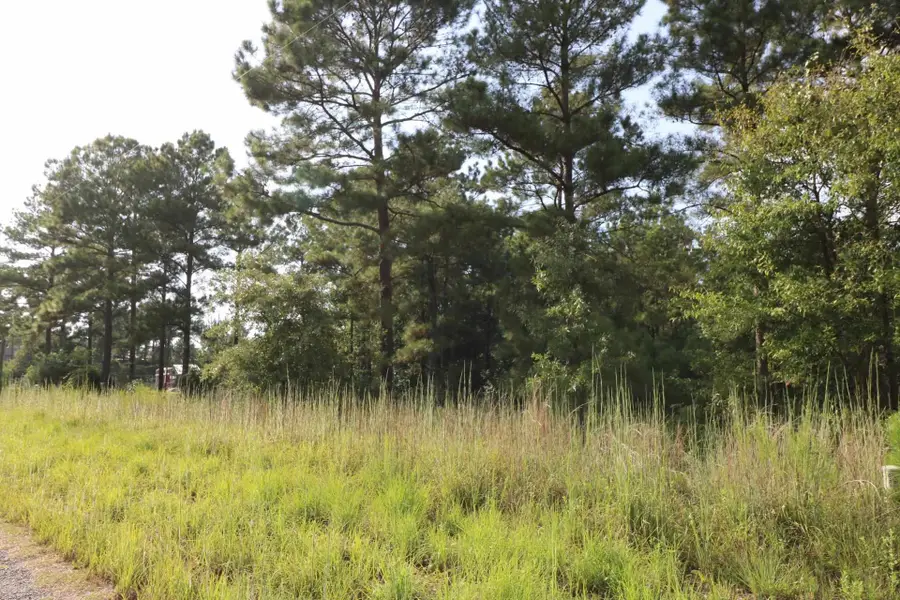 2314 Co Rd 222, Brookeland, TX 75931 - #2