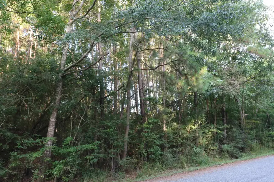 AB 2 JNO Bevil Cowart Dr, Jasper, TX 75951 - #2