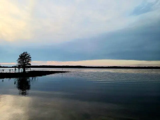 Tract 1 Lot 25 Pr 6026, Brookeland, TX 75931 - #1