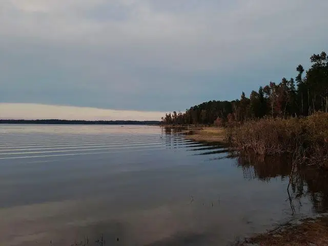 Tract 1 Lot 25 Pr 6026, Brookeland, TX 75931 - #3