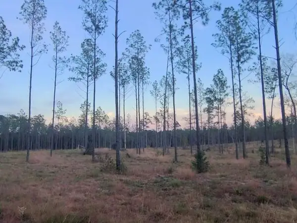 Tract 1 Lot 3 Pr 6026, Brookeland, TX 75931