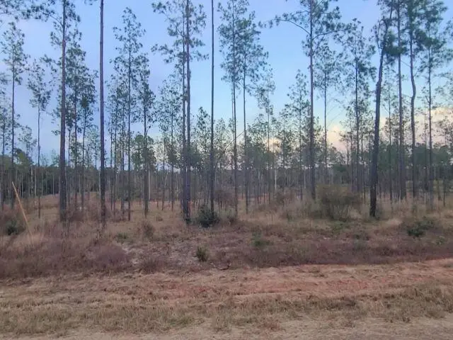 Tract 1 Lot 3 Pr 6026, Brookeland, TX 75931 - #2