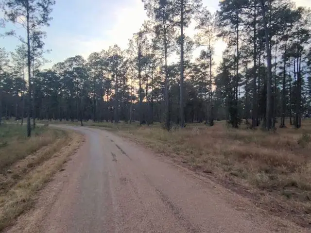 Tract 1 Lot 3 Pr 6026, Brookeland, TX 75931 - #3