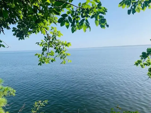 145 Somerset, Milam, TX 75959 - #1