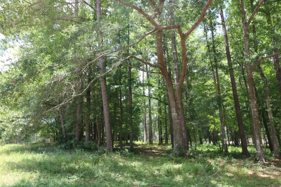 Lot 101 Hunterwood Drive, Jasper, TX 75951 - #2