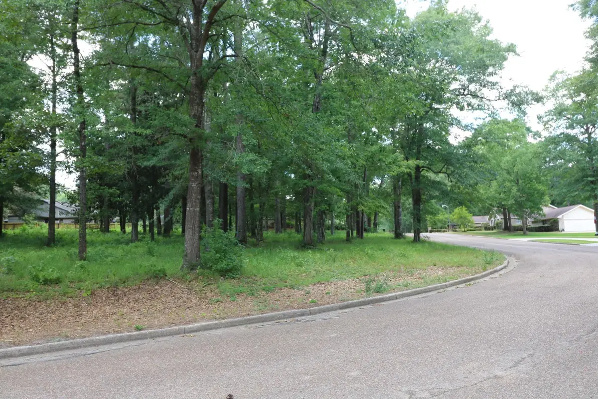 Lot 102 Hunterwood Drive, Jasper, TX 75951 - #1