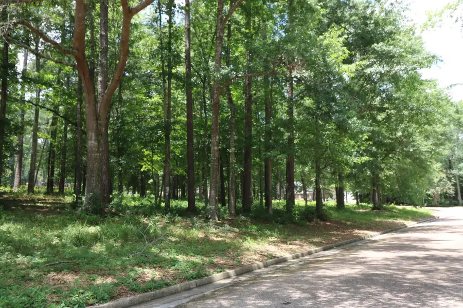 Lot 102 Hunterwood Drive, Jasper, TX 75951 - #3