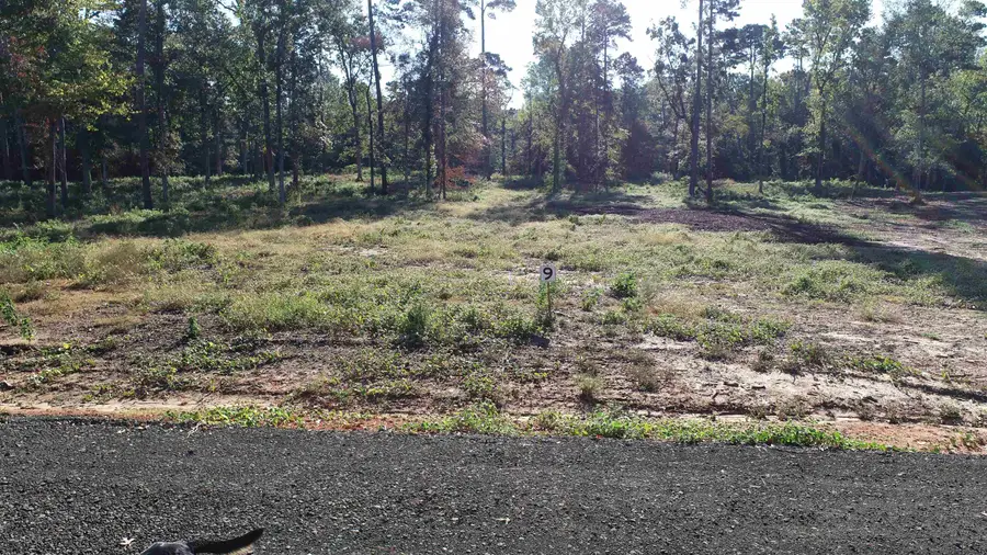 751 Nine Mile Road, Milam, TX 75959 - #3