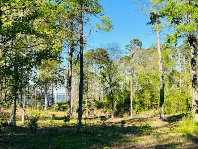 744 Nine Mile Road, Milam, TX 75959 - #2