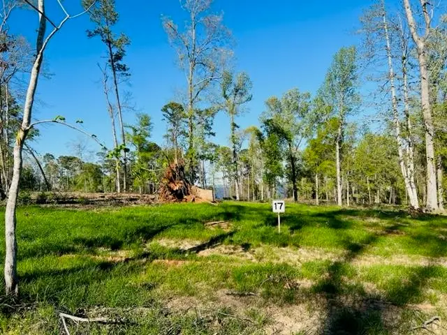 859 Nine Mile Road, Milam, TX 75959 - #2