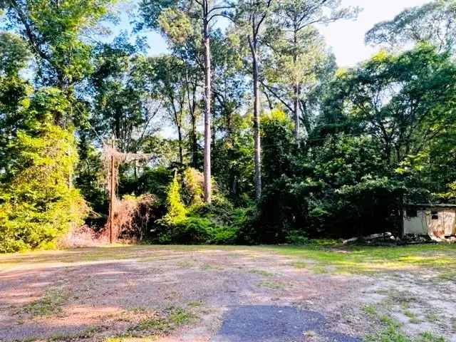 123 Davy Crockett Court, Hemphill, TX 75948 - #2