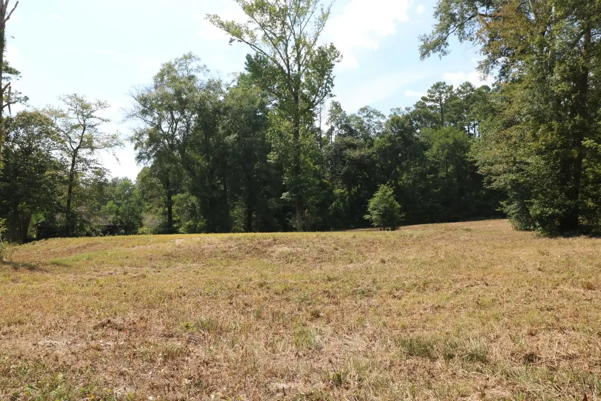 Lots 3-4,18-20 Willow Drive, Jasper, TX 75951 - #1