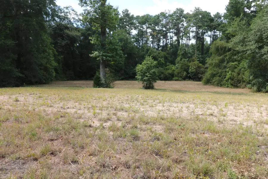 Lots 3-4,18-20 Willow Drive, Jasper, TX 75951 - #2