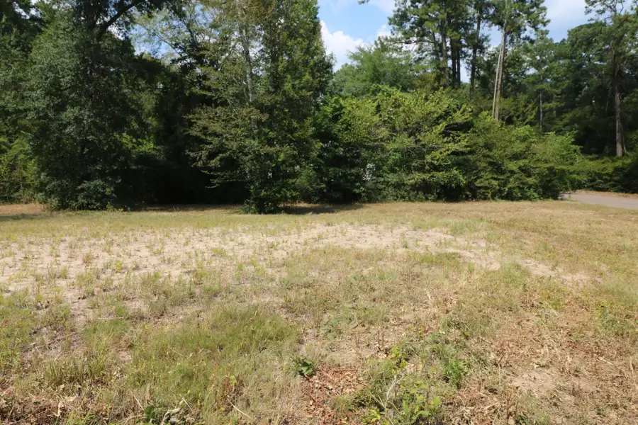 Lots 3-4,18-20 Willow Drive, Jasper, TX 75951 - #3